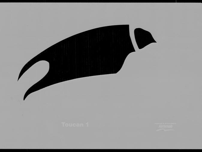 Toucan Wildlife Stencils
