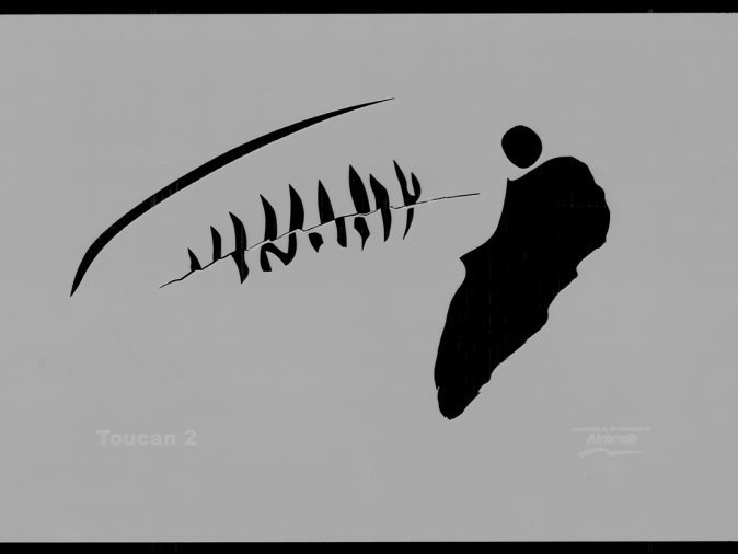 Toucan Wildlife Stencils